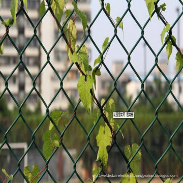 PVC Garden Fence